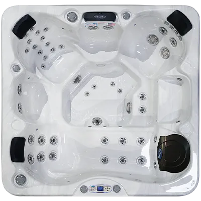 Avalon EC-849L hot tubs for sale in Lapeer