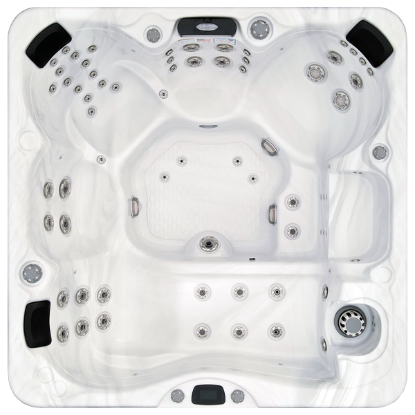 Avalon-X EC-867LX hot tubs for sale in Lapeer